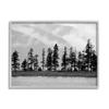 Stupell Industries Empty Pine Tree Forest Coast Line Misty Mountains, Designed by Savanah Plank Gray Framed Wall Art, 20 x 16, Black view 1