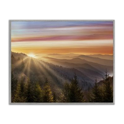 Stupell Industries Sunrise Through Mountain Forest Skyline Warm Sky, Designed by Danita Delimont Gray Framed Wall Art, 20 x 16, Orange