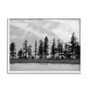 Stupell Industries Empty Pine Tree Forest Coast Line Misty Mountains, Designed by Savanah Plank White Framed Wall Art, 20 x 16, Black view 1