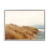 Stupell Industries Tall Grass Windy Ocean Scene Pebble Coast Beach view 1