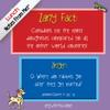 Notes From Me! 101 Tear-Off Lunch Box Notes for Boys and Girls, Zany Facts & Zingers, Inspirational, Motivational, Thinking of You, Funny Jokes for Kids, Back to School Gifts, Teacher Reward, Ages 8+ view 4