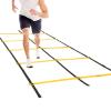 Agility Ladder Double Row Agility Ladder, Adjustable Training Equipment, Football Flexibility Training Jumping Ladder, for Personal Train(Size:3M) view 1