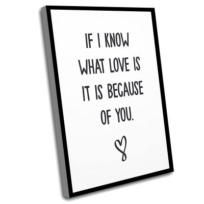 Canvas Quotes Wall Decor Bedroom,Little Girl Room Decor,Golf Office Decor,If I Know What Love is It is Because of You,Art Modern,I Love You,Typography,Inspirational Quote,16x24 Inch Framed Wall Art
