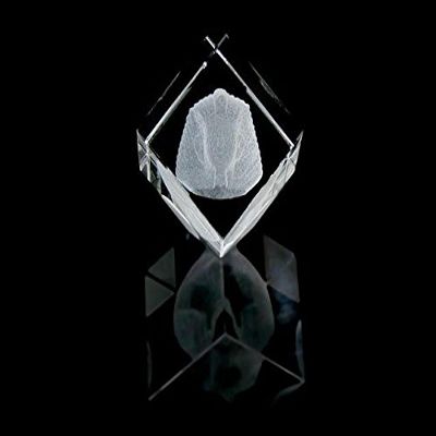 HappyHolidays 1160-50-04 2 L x 2 H x 2 W in. Crystal Laser-Engraved King TUT Ancient Egypt Laser-Cut