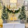 Haute Decor 4.5 Foot Barcelona Blue Spruce Potted Tree with Warm White LED Lights - Cement Gray Patterned Resin Pot view 2