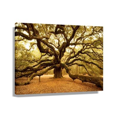 Angel Oak Tree At Dusk Natural Landscape Poster Decor for Bedroom Canvas Art Print Wall Decorations Modern Artwork for Office Painting Pictures for Bathroom Artwork for Kitchen Giclee Prints Photo