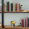 Ottimo Heavy Duty Metal Unique Office Desk Bookends for use as Bookshelf Decor, Home, Office or Kitchen Shelves. Unique, Cute and Decorative Book Stopper to Hold Books, Great Gift Idea (Black) view 4