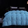 Goose Down Pinch Pleated Comforter Oversized Queen Size Duvet Insert,100% Cotton Shell 500 GSM Fill Power and Feather Down-Proof Fluffy Premium Baffle Box Comforter Only(1 Piece - Light Blue) view 1