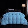 Goose Down Pinch Pleated Comforter Oversized Queen Size Duvet Insert,100% Cotton Shell 500 GSM Fill Power and Feather Down-Proof Fluffy Premium Baffle Box Comforter Only(1 Piece - Light Blue) view 2
