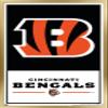 NFL Cincinnati Bengals - Logo 21 Wall Poster, 22.4L" x 14.7W", Gold Framed Version view 1