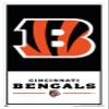 NFL Cincinnati Bengals - Logo 21 Wall Poster, 34L" x 22.4W", White Framed Version view 1