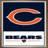 NFL Chicago Bears - Logo 21 Wall Poster, 22.4L" x 14.7W", Bronze Framed Version view 1