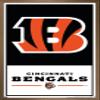 NFL Cincinnati Bengals - Logo 21 Wall Poster, 34L" x 22.4W", Bronze Framed Version view 1