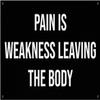 Damdekoli Pain Is Weakness Leaving The Body Banner - Home Gym Decor - Large Motivational Quote Wall Art - Inspirational Print - Basement - Garage (24 x 36 Inches) view 1