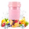 300ml Personal Blender, Travel Juicer Cup with USB Rechargeable, Mini Portable Blender for Shakes, Smoothies, Fruit (Pink) view 1