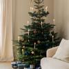 2021 Christmas Mobile, Shooting Star view 2