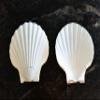Scallop Shells for Cooking, Baking or Crafts, 2 inch to 5 inch, Natural Seashell (2 inch - 3 inch, 100) view 4