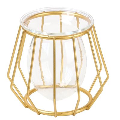 Small Vases for Flowers, Glass Bud Vase with Metal Geometric Iron Line Cup Vase Pot for Hydroponic, Rustic Decorative Vase Centerpieces for Wedding, Dinning, Home Table Decoration