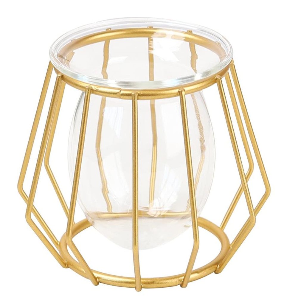 Small Vases for Flowers, Glass Bud Vase with Metal Geometric Iron Line Cup Vase Pot for Hydroponic, Rustic Decorative Vase Centerpieces for Wedding, Dinning, Home Table Decoration