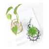 Small Vases for Flowers, Glass Bud Vase with Metal Geometric Iron Line Cup Vase Pot for Hydroponic, Rustic Decorative Vase Centerpieces for Wedding, Dinning, Home Table Decoration view 2