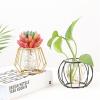 Small Vases for Flowers, Glass Bud Vase with Metal Geometric Iron Line Cup Vase Pot for Hydroponic, Rustic Decorative Vase Centerpieces for Wedding, Dinning, Home Table Decoration view 3