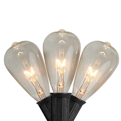 Edison Indoor Outdoor Patio Light Set - Clear - 9' Black Wire - 10ct