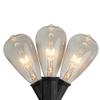 Edison Indoor Outdoor Patio Light Set - Clear - 9' Black Wire - 10ct view 1
