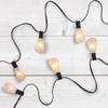 Edison Indoor Outdoor Patio Light Set - Clear - 9' Black Wire - 10ct view 2