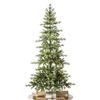 Balsam Hill 7ft Pre-Lit Alpine Christmas Tree - Sparse Artificial Christmas Tree with 300 Clear LED Fairy Lights, Pre-Fluffed Memory Wire Branches & Easy Plug Technology for Small Spaces view 1