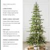 Balsam Hill 7ft Pre-Lit Alpine Christmas Tree - Sparse Artificial Christmas Tree with 300 Clear LED Fairy Lights, Pre-Fluffed Memory Wire Branches & Easy Plug Technology for Small Spaces view 2