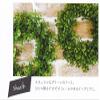 (Kijapan) Decorative Plants Photocatalyst Artificial Flowers Mini Interior Green Green Wreath Eucalyptus 166641 view 2