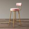 Barstools Set of 2 Bar Stool Breakfast Stools, Backrest Modern Golden Counter Stools Dining Chair for Kitchen Counter Bar for Bistro Pub Caf Island Kitchen view 2