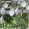 Salty Pelican Pack of 2 Seashell Arbor Large Garland Decor, Natural Handmade, 68":+ - G-25 view 2