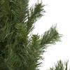 Black River Pine with Pine Cones Artificial Christmas Garland - 9' x 14" - Unlit view 3