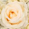 10/12/20 Flower Panels,16"x 24"Artificial Flower Wall Panels,Pink/White Flower Backdrop Wall for Home Party Christmas,Thanksgiving Wedding Christmas Festival Photo Backgdrop Decor (12*Champagne) view 3
