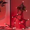 YULETIME Red One-Piece G12 Raspberry Christmas Lights 140 Count 48 Feet, 2 Sets 70 LED 24 ft High Waterproof UL Certified String Light (Red) view 4