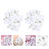 ARTIBETTER Hat Accessories 100Pcs Artificial Rose Flower Heads Fake Flower Heads Silk Rose Head for Crafts Wedding Centerpieces Party Decoration White Flower Decorations view 2