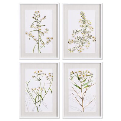 Napa Home & Garden Daisy Prints Set of 4 White/Yellow