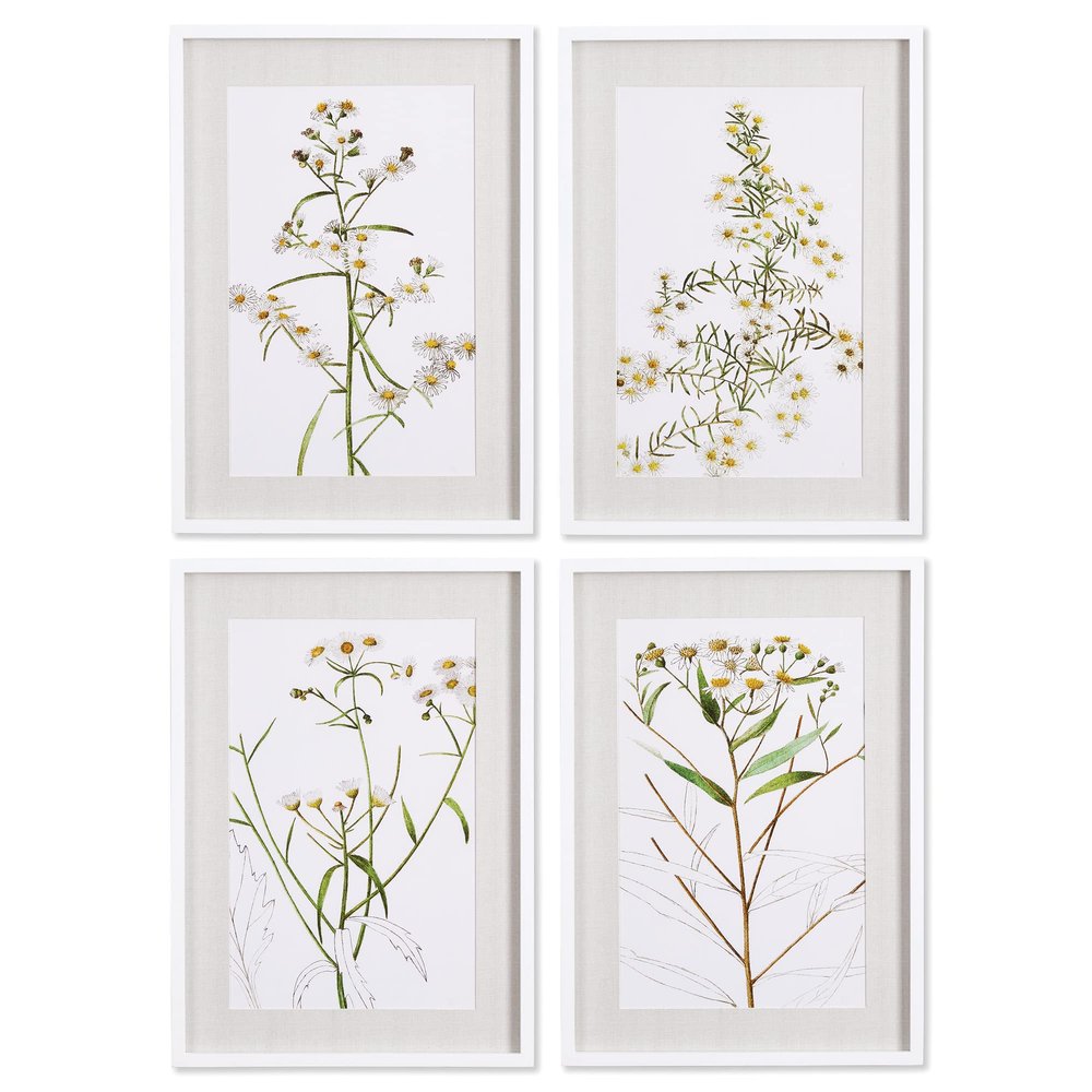 Napa Home & Garden Daisy Prints Set of 4 White/Yellow