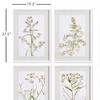 Napa Home & Garden Daisy Prints Set of 4 White/Yellow view 3