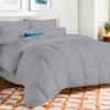 1 Piece Comforter 1000 TC Egyptian Cotton Cover | Super Soft Premium Quality Microfiber Filling (Super King, Silver) view 2
