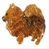 Handcrafted Hand Painted B Pomeranian Full Body Magnet for Personalizing Home Office School Classroom Refrigerator Whiteboard Locker - Made in USA - SKU DP440BFMAG view 1