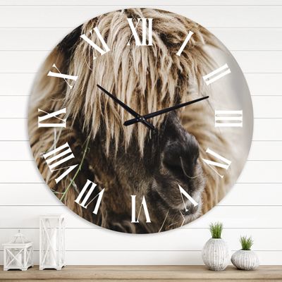 DesignQ Farmhouse Wall Clock 'Portrait of Fluffy Curly Alpaca' Animals Large Wall Clock for Home Decor