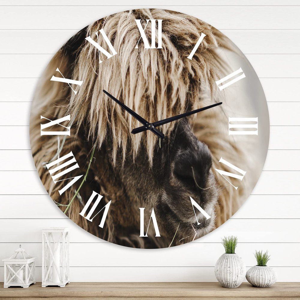 DesignQ Farmhouse Wall Clock 'Portrait of Fluffy Curly Alpaca' Animals Large Wall Clock for Home Decor