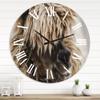 DesignQ Farmhouse Wall Clock 'Portrait of Fluffy Curly Alpaca' Animals Large Wall Clock for Home Decor view 1