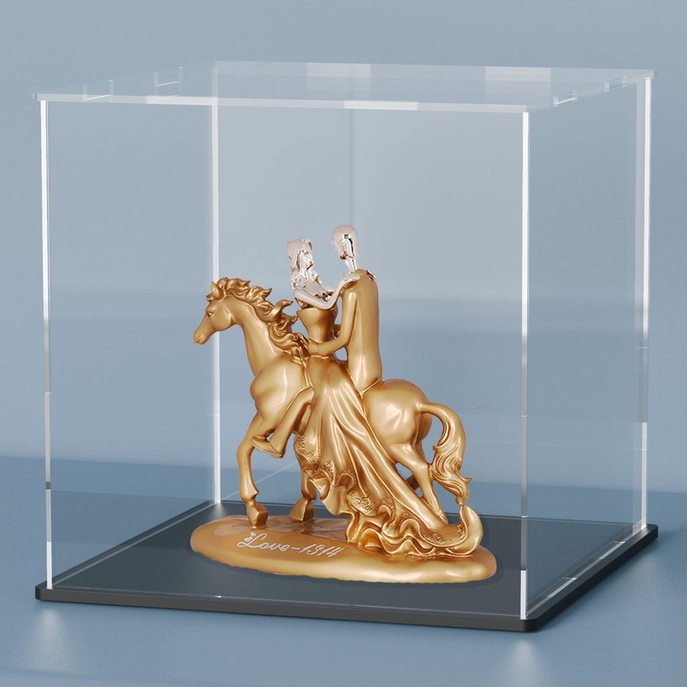 HEMYLU Acrylic Box with Matt Black Base, Simple Self-Assembly Clear Acrylic Display Case, 8 Inch Cube Dustproof Showcase with Lid for Collectibles, Toys and Jewelry (8x8x8 inch)