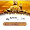 ZCBYBT Solid Wood Buddhist Altar, Household Wall-Mounted Altar, Used to Place Your Spiritual Ornaments for Meditation,20.5inch view 3