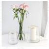 Clear Glass Vase (Size:12 * 32CM) view 4