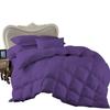 7 Piece Bed-in-A-Bag Comforter & Sheet Set 21" Deep Pocket, 100% Egyptian Cotton Queen Size, Purple, Sets Include - 1Comforter, 1Flat Sheet,1Fitted Sheet, 2Pillowcase & 2Pillowsham view 4