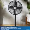 Westinghouse Retro/Vintage Metal Electric Fan 16 Inches With Adjustable Tilt & Base Height Of 37" - 51.5" - 90 Oscillating And 3 Speeds - Ideal For Home, Floor, Room, Bedroom, Black view 4